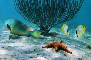 Punta Cana awaits you starting January 2026