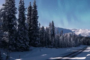 Europe is expecting you this winter!