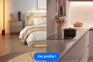 Célébrez les couleurs éclatantes de la saison avec 25 % de réduction !