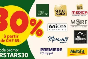 -30 % sur nos superstars – plus que jusqu’à demain ! ⭐