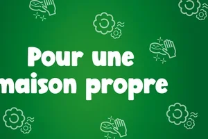 Les soins pour chats en toute simplicité 🐈🐾