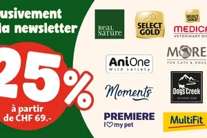 💌 Uniquement dans la newsletter : -25 % sur nos superstars !