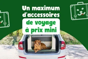 Des MEGA offres pour les vacances avec vos chouchous 🌞🐾