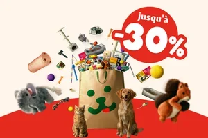 Jusqu’à 30 % de réduction – plus que jusqu’à DEMAIN ⏳