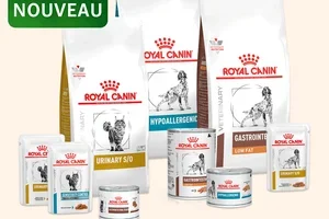 ROYAL CANIN VET : désormais disponible dans votre magasin ! 🩺