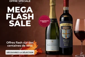 💥 MÉGA FLASH SALE : Offres éclair sur des centaines de vins