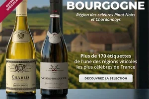 👑 Le prestige de la Bourgogne enfermé dans un verre