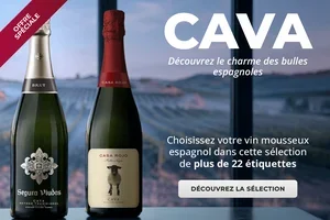 🥂 Le charme des bulles espagnoles enfermées dans du Cava