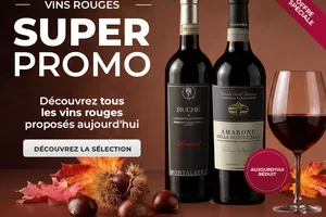 🍷 SUPER PROMO : découvrez tous les vins rouges proposés aujourd'hui