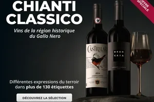 👑 Chianti Classico : les labels historiques que chaque domaine viticole mérite