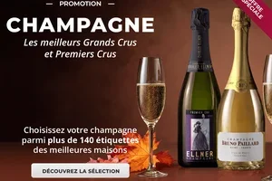 🥂 Champagne d'excellence : un voyage à travers les Grands Crus et les Premiers Crus