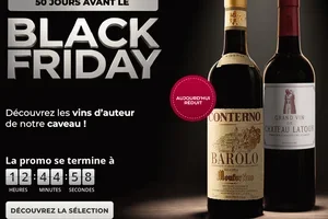 💣 50 JOURS AVANT LE BLACK FRIDAY : nous avons ouvert le caveau !