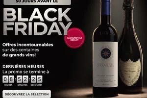 ⌚️ DERNIÈRES HEURES : Plus que 50 jours avant la fin du Black Friday...