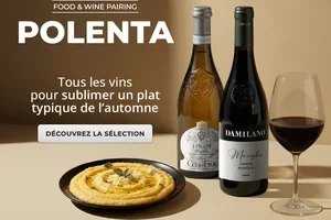 🌽 Toutes les saveurs de la polenta et les vins pour les sublimer