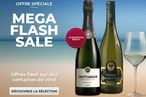 💥 MÉGA FLASH SALE : Offres éclair sur des centaines de vins