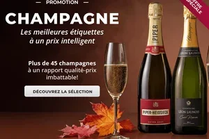 💎 Un voyage à travers les Crus de Champagne sans se ruiner