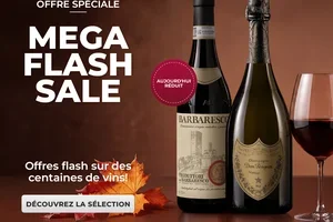 💥 MÉGA FLASH SALE : Offres éclair sur des centaines de vins