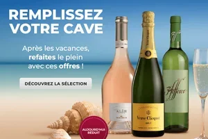 🚗 REMPLISSEZ VOTRE CAVE: des vins en promotion pour remplir votre cave