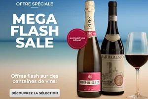 💥 MÉGA FLASH SALE : Offres éclair sur des centaines de vins