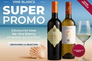 🍐 SUPER PROMO : découvrez tous les vins blancs proposés aujourd'hui