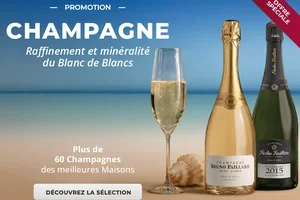 🥂 Bulles extrêmement fines et arômes floraux : l'enchantement du Blanc de Blancs