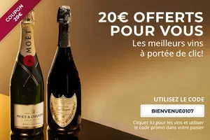 🍷 Ch Fr Bon d'achat de 20€ pour vous : les meilleurs vins à portée de clic !