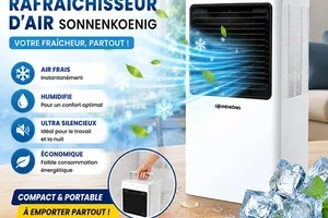 ❄️ Rafraîchisseur d'Air Sonnenkoenig 🪒 Rasoir Rotatif Remington ...