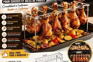 🍗 Grille de Cuisson Suspendue pour Poulet 🦟 Piège Anti-Moustiques ...
