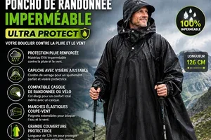 🧀 Appareil à Raclette Traditionnelle 🐾 Distributeur de Croquettes ...