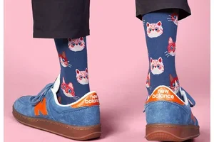 Die Besten der Besten sind zurück ✨