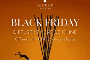 Black Friday: your gift is waiting for you