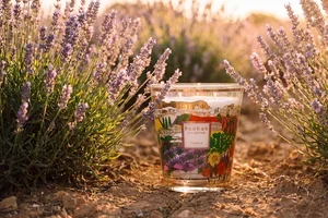 Memories of Provence