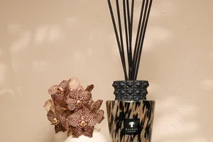 Scent your home with Baobab Collection