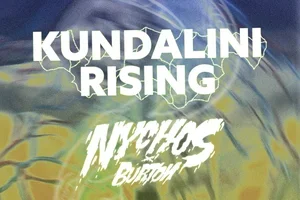 La planche de snowboard Burton X Nychos Process 2027 est une exclusivité Blue Tomato !