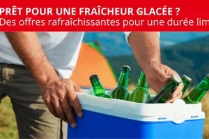 Machines à glaçons & glacières pour l'été chaud