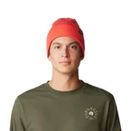 Everyone's Favorite Beanie