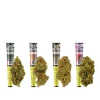 King Size CBD Pre-Rolled Joints - Set