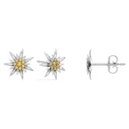Edelweiss Boucles d'oreilles JS.0208.B