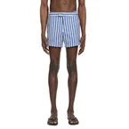 Regimental Stripe Swim Shorts